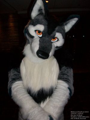 Chipper Wolf
