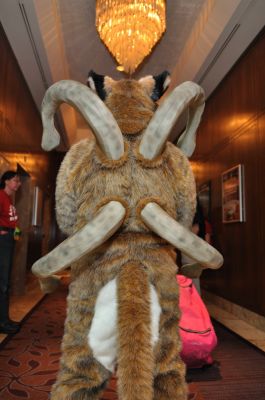 The tentacles extend out from his back.  Two above and two to the side.
