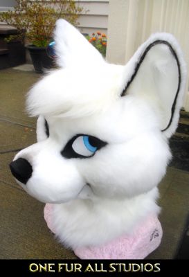 Artie
Artie
Keywords: Artie fox