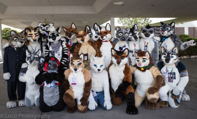 Biggest Little Fur Con 2015

