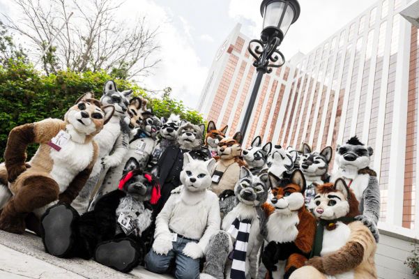 Biggest Little Fur Con 2015
