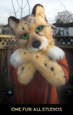Gaze into my eyes
