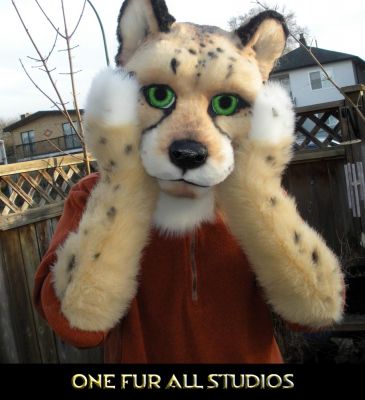 Oh Noes!
