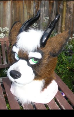 Costello-head3.jpg