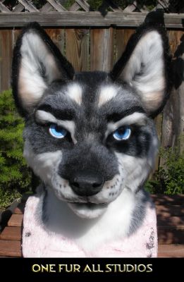 Very pretty eyes on this one
