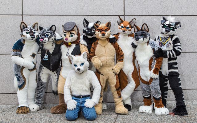 Further Confusion 2015

