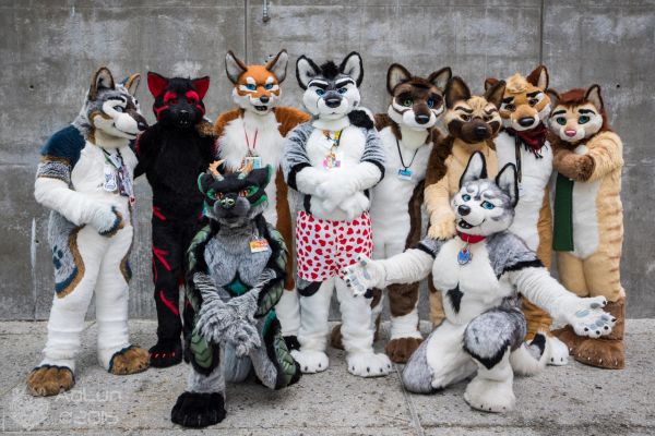 Further Confusion 2016
