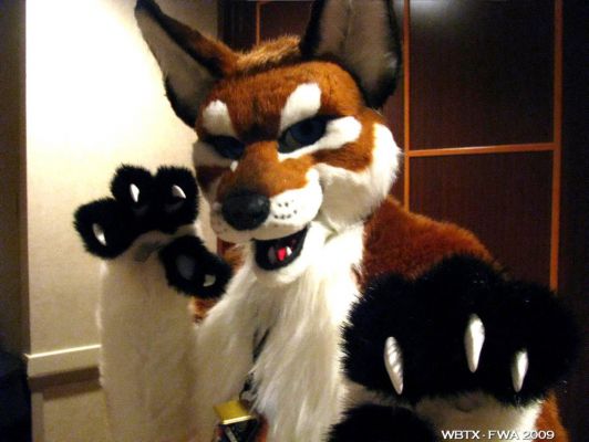 FWA2009244.jpg