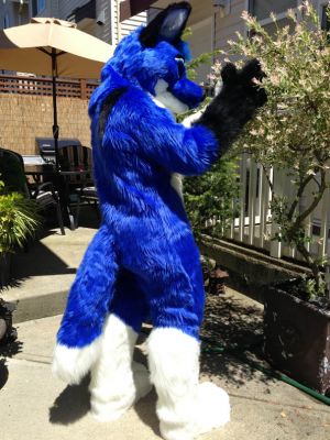 Fayroe
Fayroe
Keywords: Fayroe blue fox