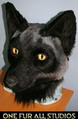 Florian-head1.jpg
