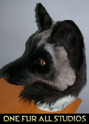 Florian-head3.jpg