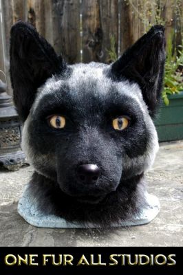 Florian-head5.jpg