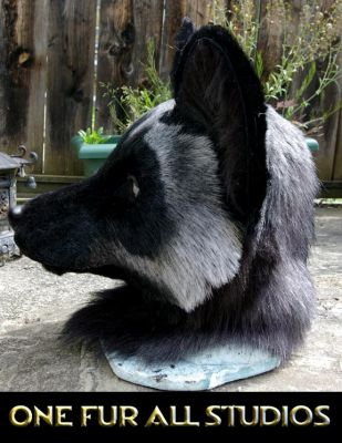 Florian-head6.jpg