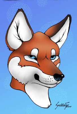 Folf-head-color1.jpg