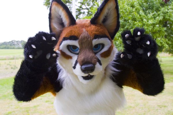 Foxfur
Foxfur
Keywords: Foxfur fox red