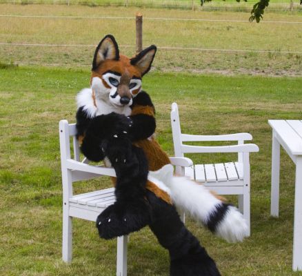 Foxfur
Foxfur
Keywords: Foxfur fox red