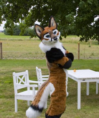 Foxfur
Foxfur
Keywords: Foxfur fox red