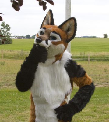 Foxfur
Foxfur
Keywords: Foxfur fox red