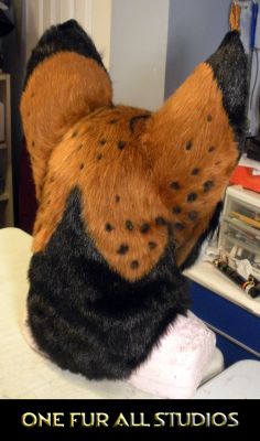 Foxplay-head2.jpg