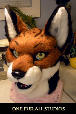 Foxplay-head3.jpg