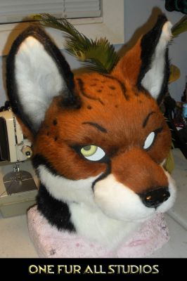 Foxplay-head4.jpg