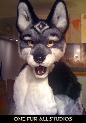 Hati-suit1.jpg