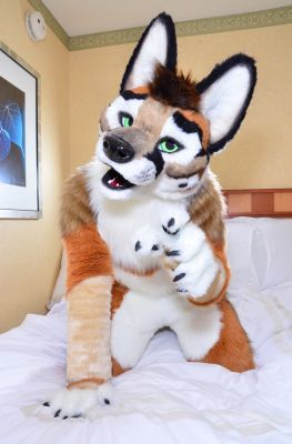 Kartfox
Kartfox
Keywords: Kart fox red
