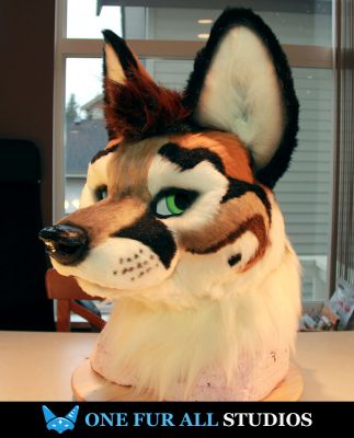 Kartfox
Kartfox
Keywords: Kart fox red
