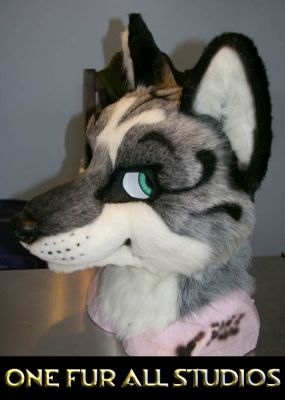 I really enjoyed doing his markings!


