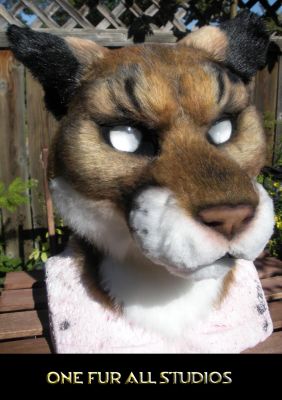 Killjoy-head3.jpg