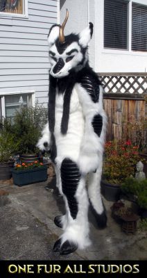 Kirin-Fullsuit2.jpg