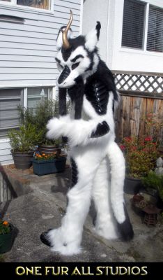 Kirin-Fullsuit4.jpg