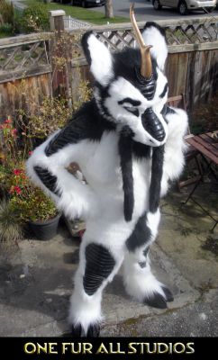 Kirin-Fullsuit8.jpg