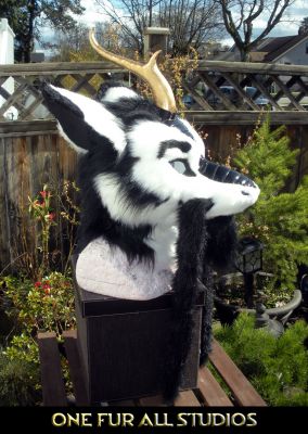 Kirin-head9.jpg