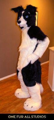 Masa-fullsuit2.jpg