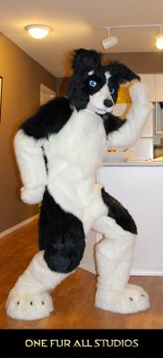 Masa-fullsuit4.jpg