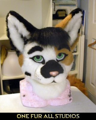 Nickolas-head1.jpg
