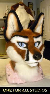 Nightfox-suit1.jpg