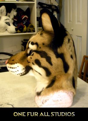 This species is very interesting looking.
