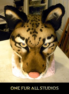 The head has a lot of detail.
