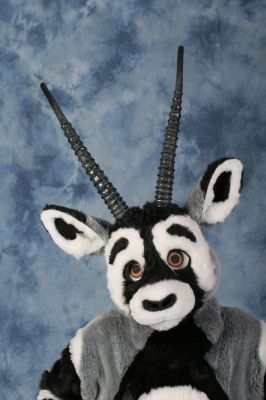 Oryx-11.jpg