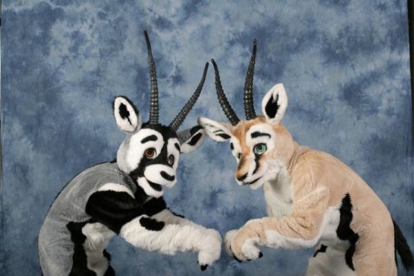 Oryx-Ferian-8~0.jpg