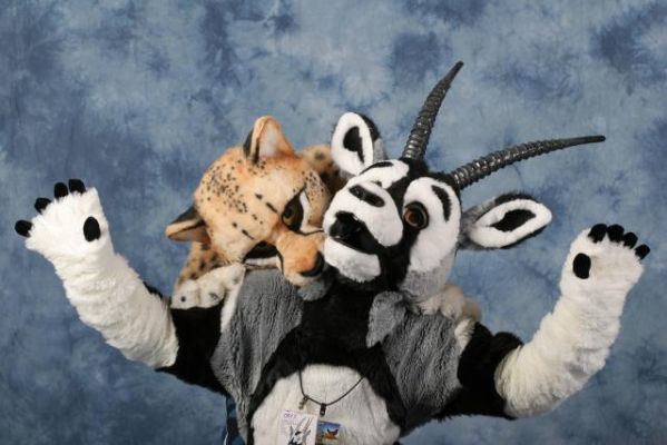What happens when the cheetah catches an Oryx?

