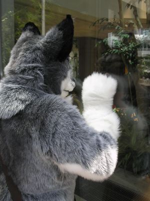 Shopping wolf!
