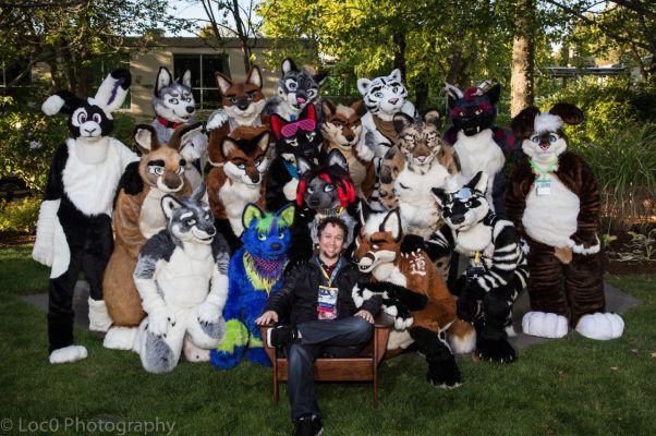 RainFurest 2014
