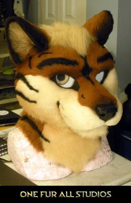 This side's eye is golden brown which is different then other eye.
