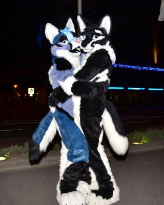 Hydrox
Hydrox
Keywords: Hydrox fox wolf hybrid folf Nachtfuchs