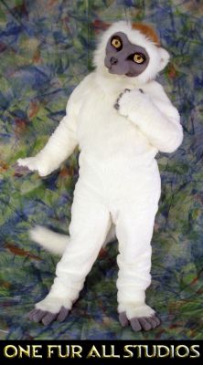 SnowCap-full1.jpg
