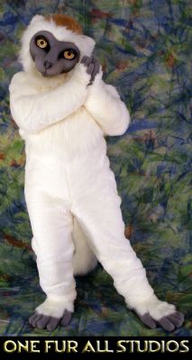 SnowCap-full3.jpg