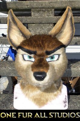 Sunlit-Snirf-head1.jpg